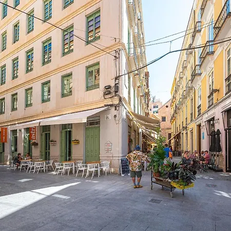 Centro Terraza 4-d